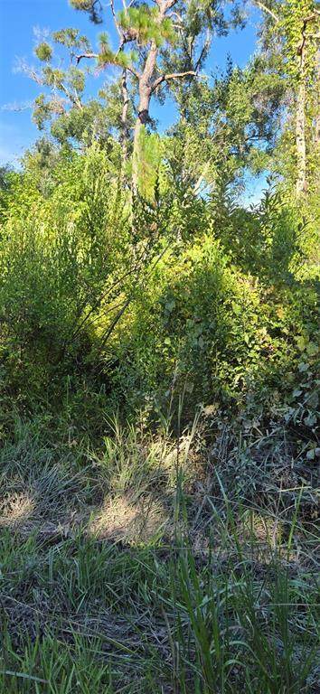  Evergreen Street - Photo 1