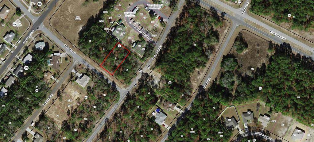 9339 Milam Way - Photo 1