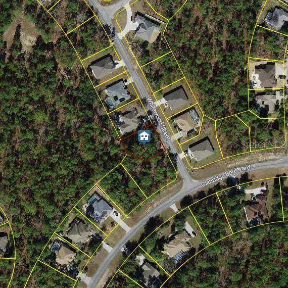 101 Whitewood Street - Photo 1