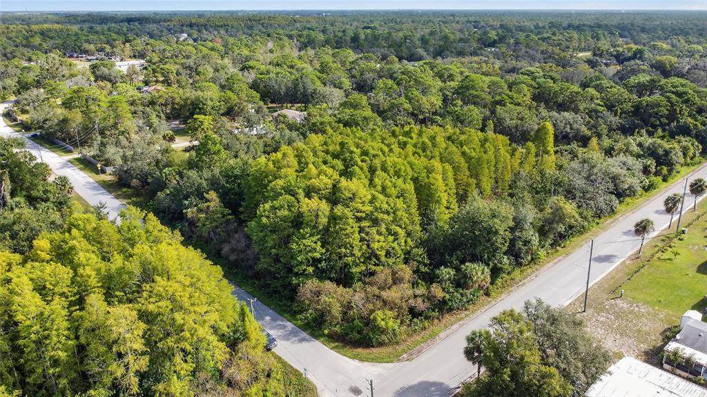 17010 Ridgeline Trail - Photo 1