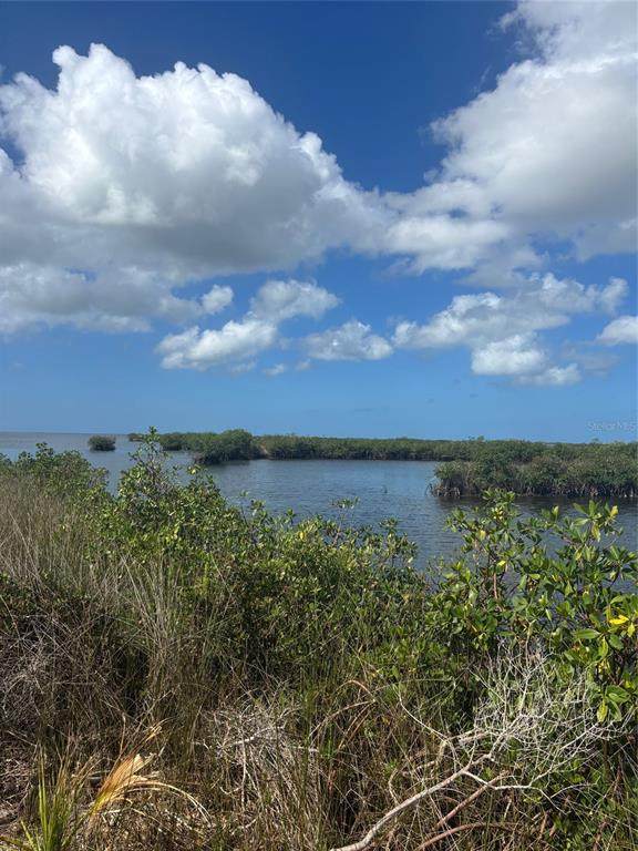 3217 Shine Lane - Photo 1