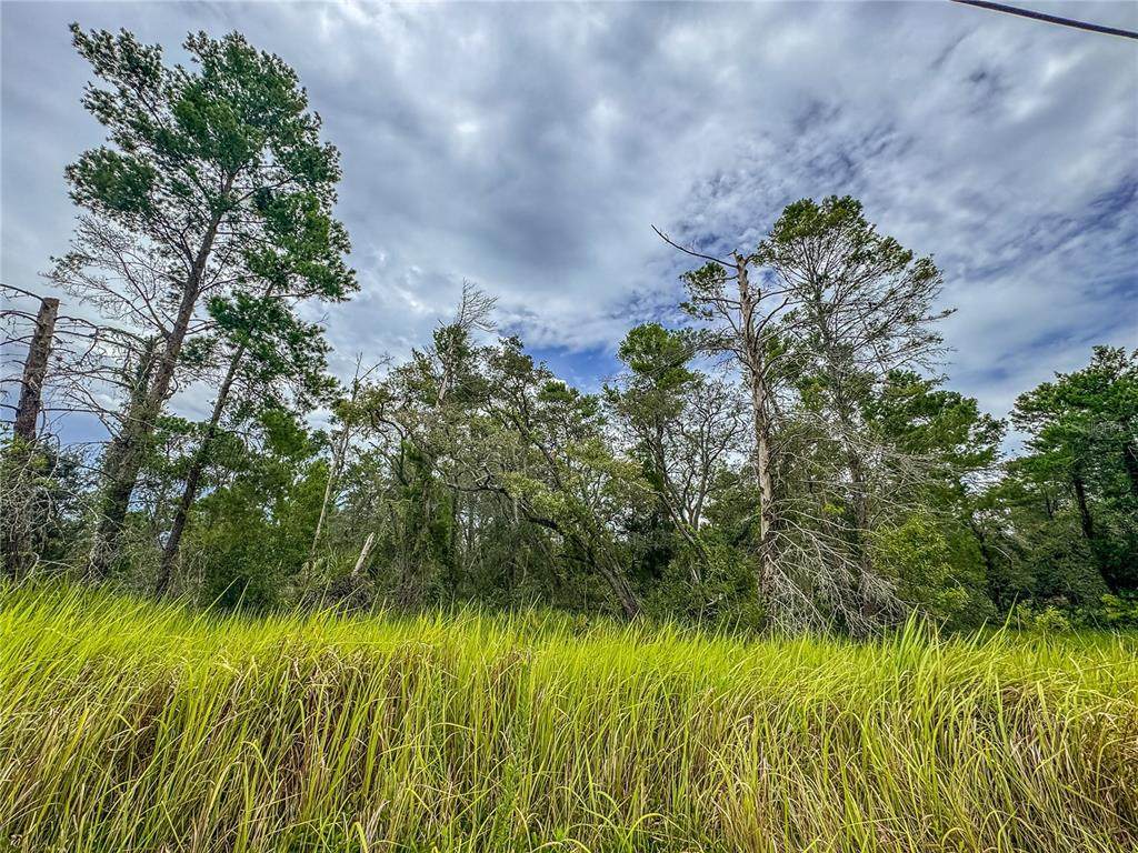 0 Bahama Swallow Avenue - Photo 1