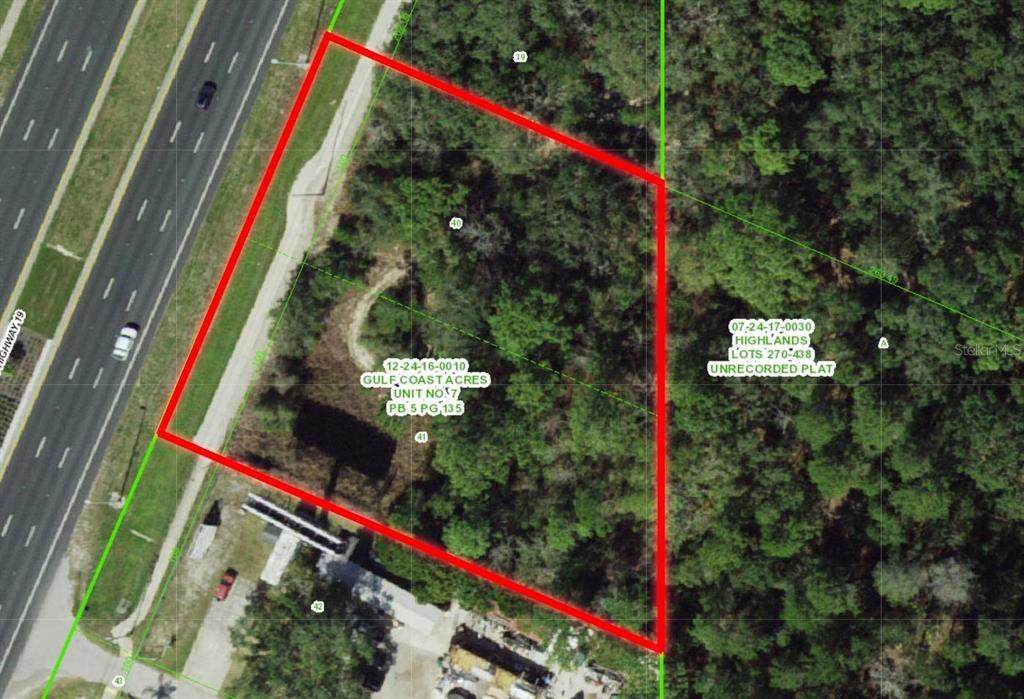  Us Highway 19 N - Photo 1