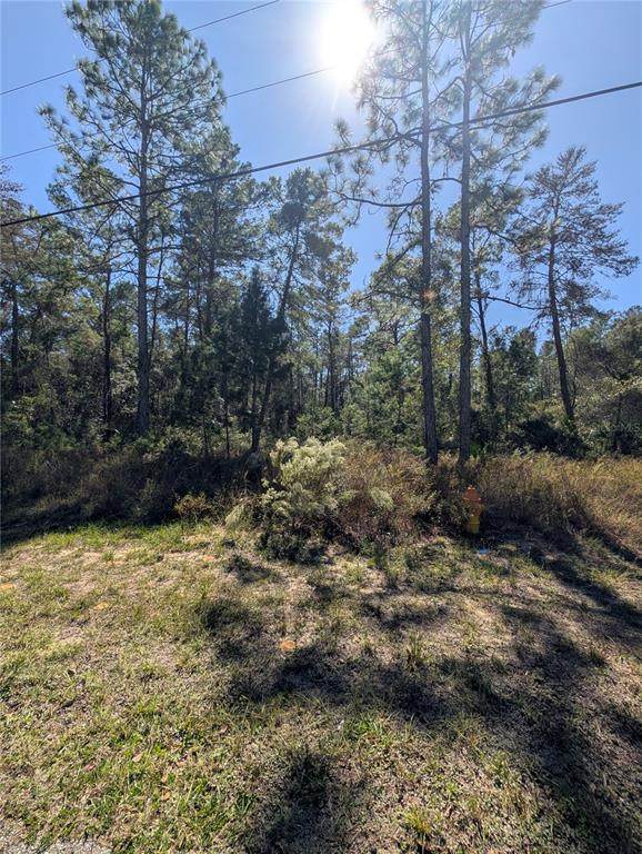 4298 Alamo Drive - Photo 1