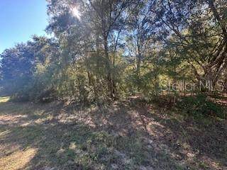 10012 Athenia Drive - Photo 1