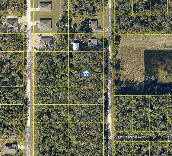 LOT 1021 Carolina Dove Road - Photo 1
