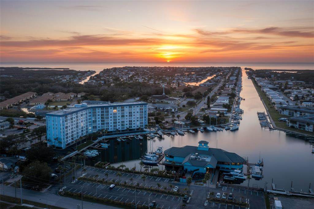 4939 Floramar Terrace - Photo 1