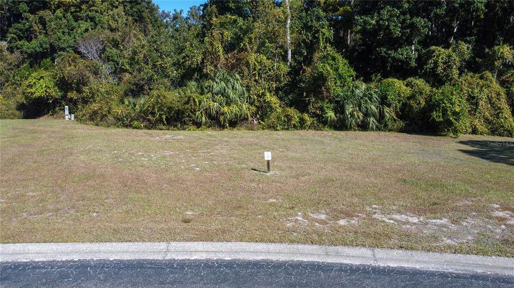  Forest Glenn Drive - Photo 1