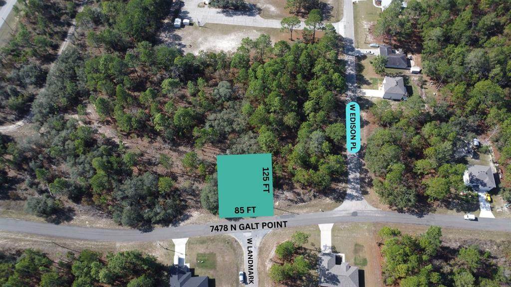 7478 Galt Point - Photo 1