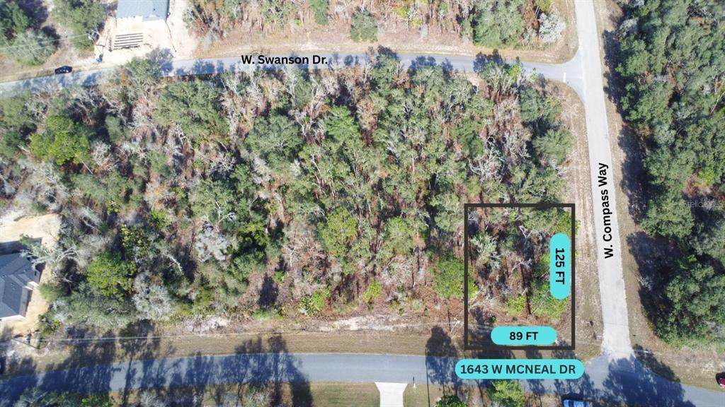 1643 Mcneal Drive - Photo 1