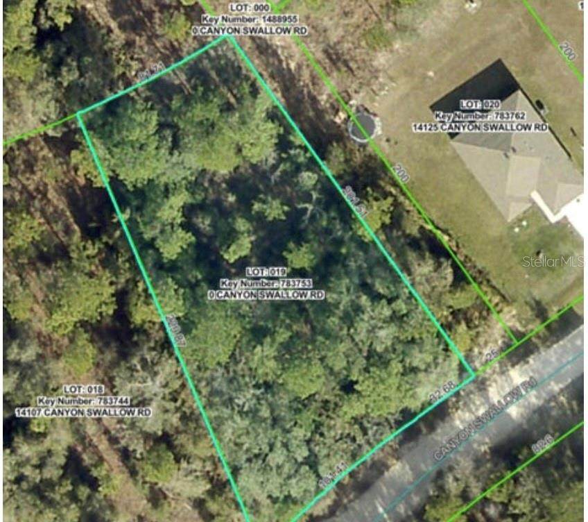 Lot 19 Canyon Swallow Road - Photo 1