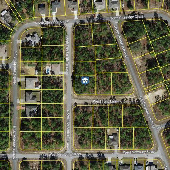 647 Tulip Lane - Photo 1