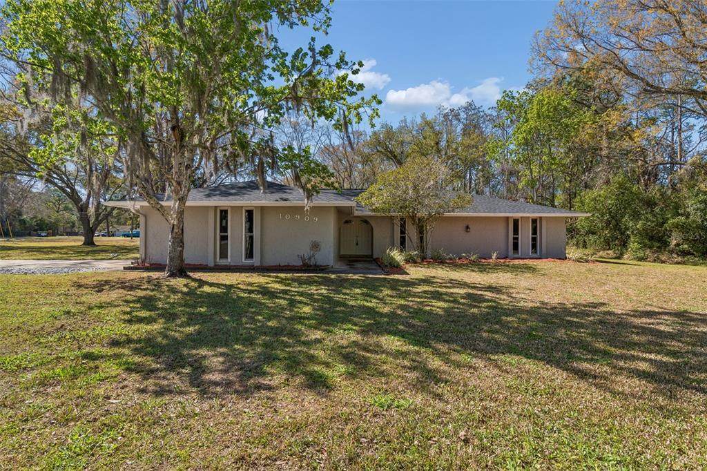 10909 Candy Lane - Photo 1