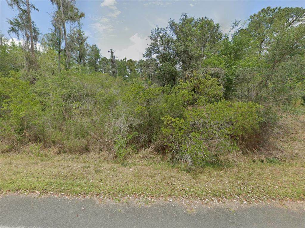 9474 Bonsai Avenue - Photo 1
