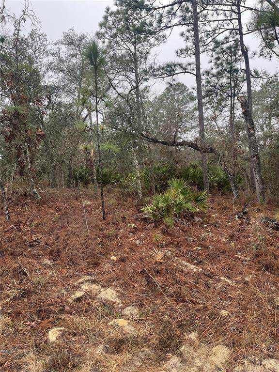 6692 Airmont Drive - Photo 1