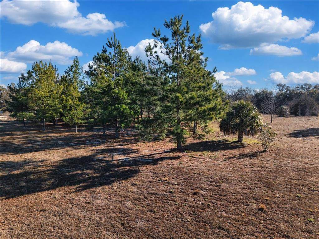  76TH Avenue - Photo 1