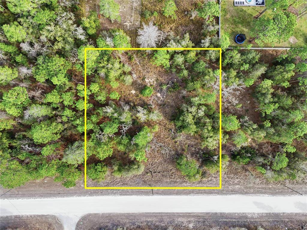  Chimney Swift Road - Photo 1