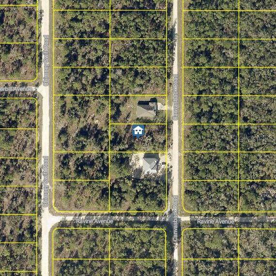 LOT 16 Canvasback Road - Photo 1
