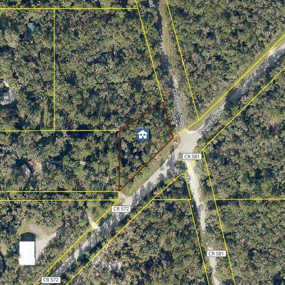  Culbreath Road - Photo 1