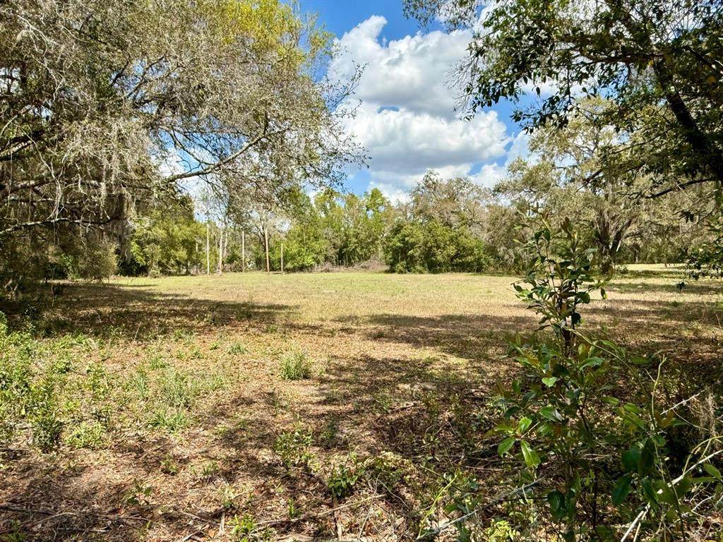 10010 Fort King Road - Photo 1
