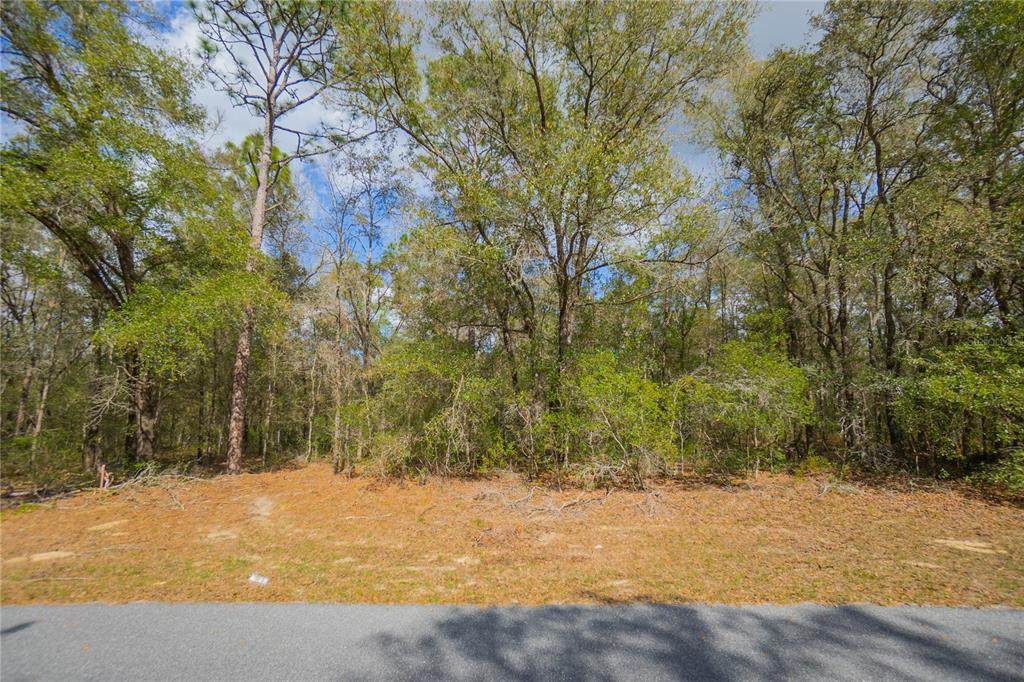8743 Sandree Drive - Photo 1