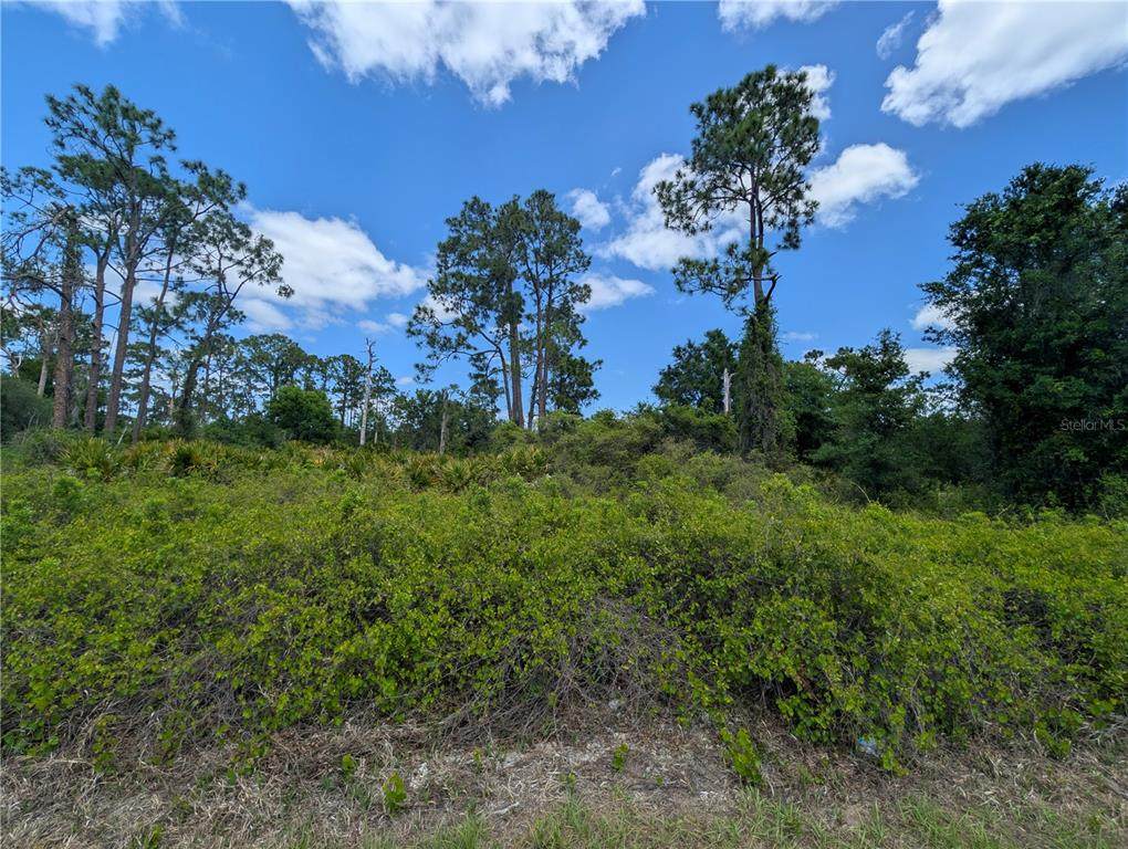 784 Washington Boulevard - Photo 1