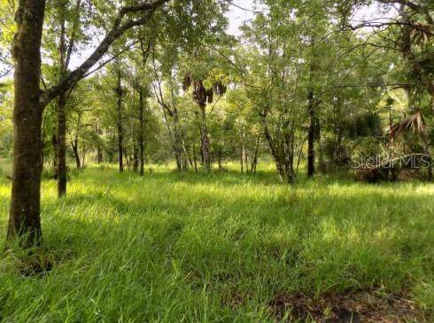 5001 Whippoorwill Drive - Photo 1