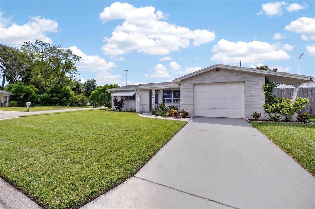 10735 Darius Street - Photo 1