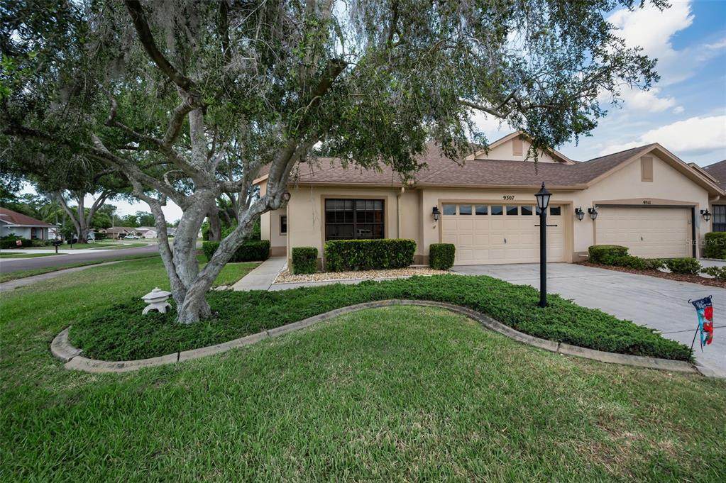 9307 Palm Haven Court - Photo 1