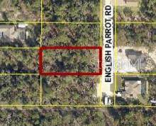 13415 English Parrot Road - Photo 1