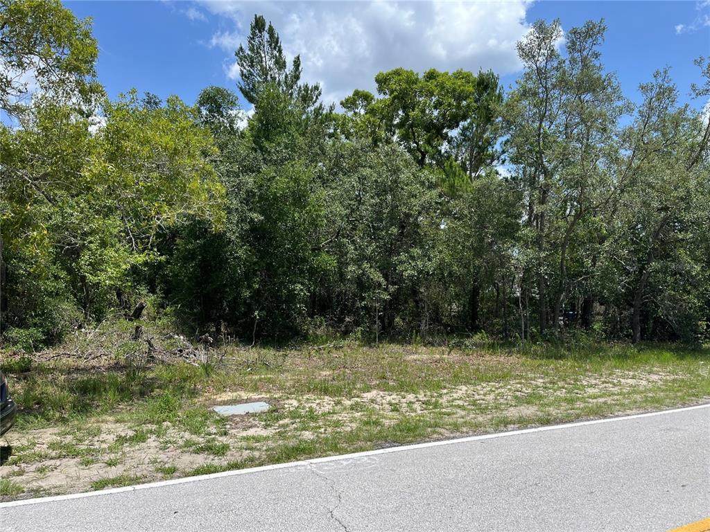  Pinehurst Drive - Photo 1