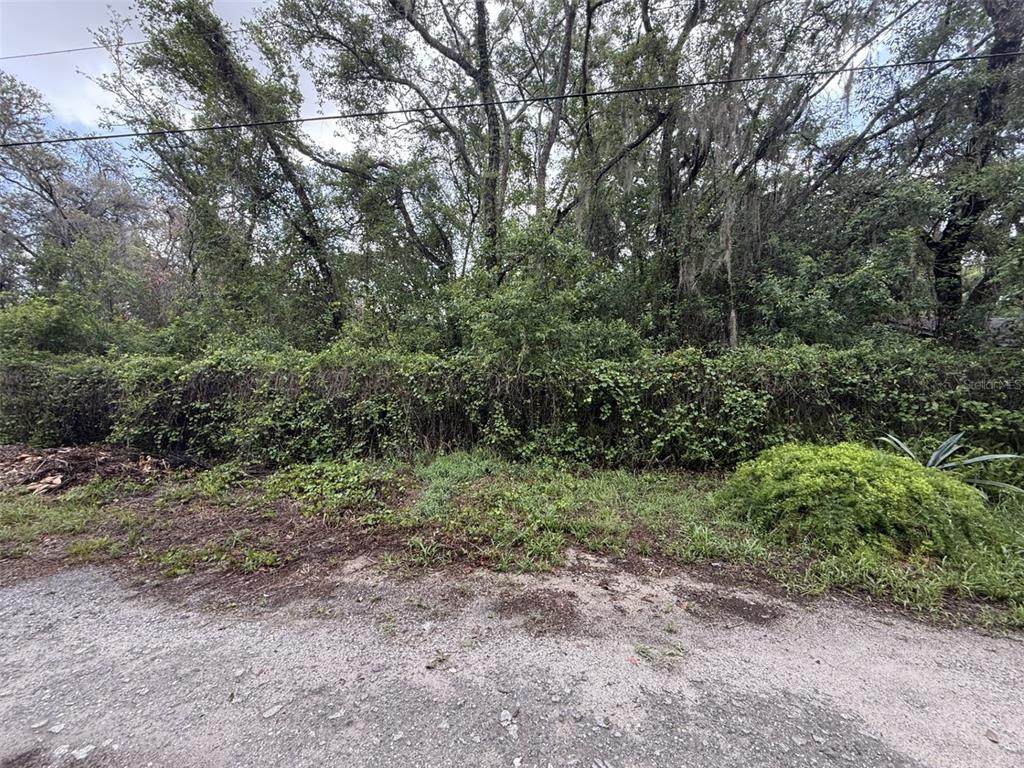 10934 Leon Street - Photo 1