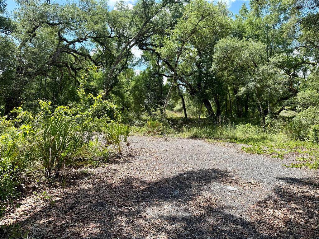  Long Circle - Photo 1
