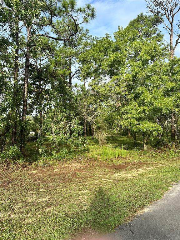 2 Barkwood Point - Photo 1