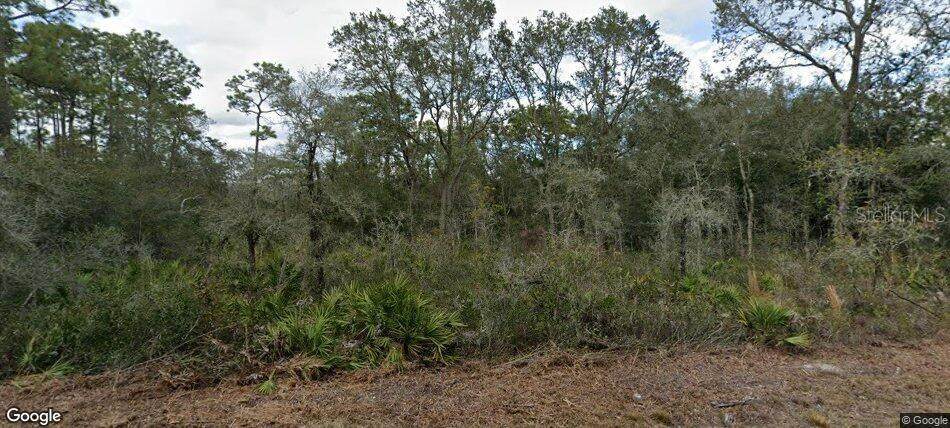 35023 Primrose Lane - Photo 1