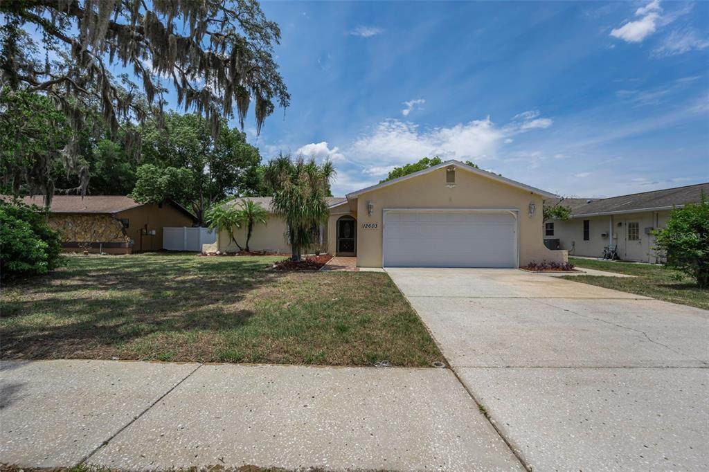 12603 Pecan Tree Drive - Photo 1