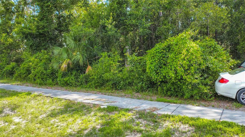 4176 Gulf To Lake Highway - Photo 1