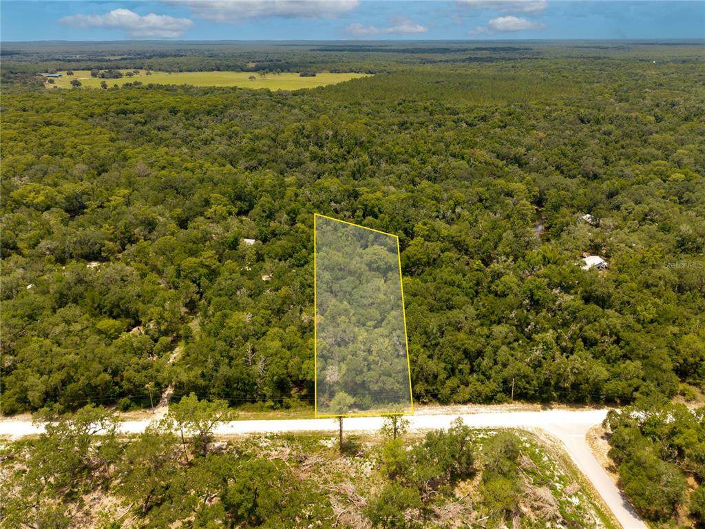 7353 Riverview Drive - Photo 1