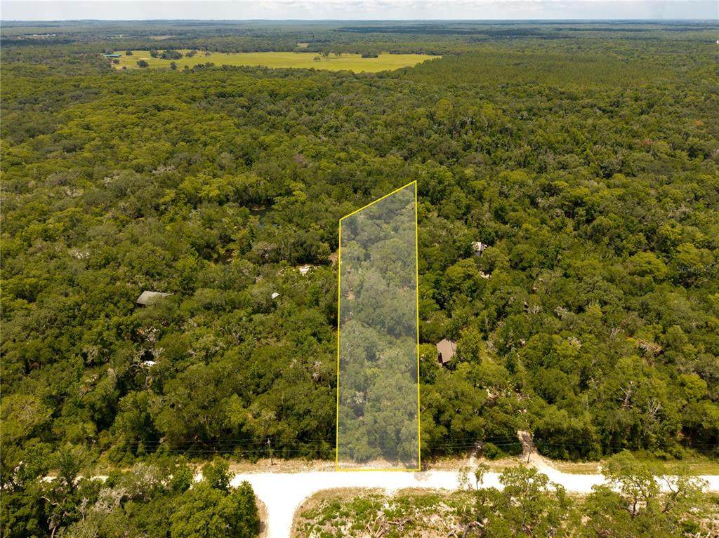 7337 Riverview Drive - Photo 1