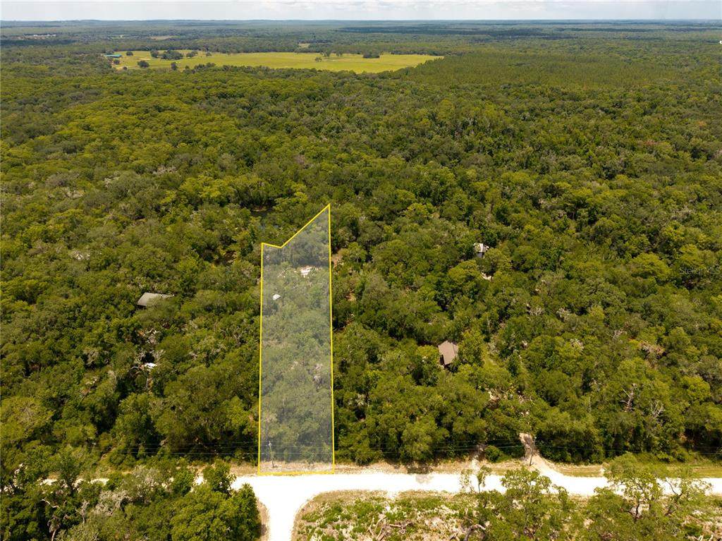 7333 Riverview Drive - Photo 1