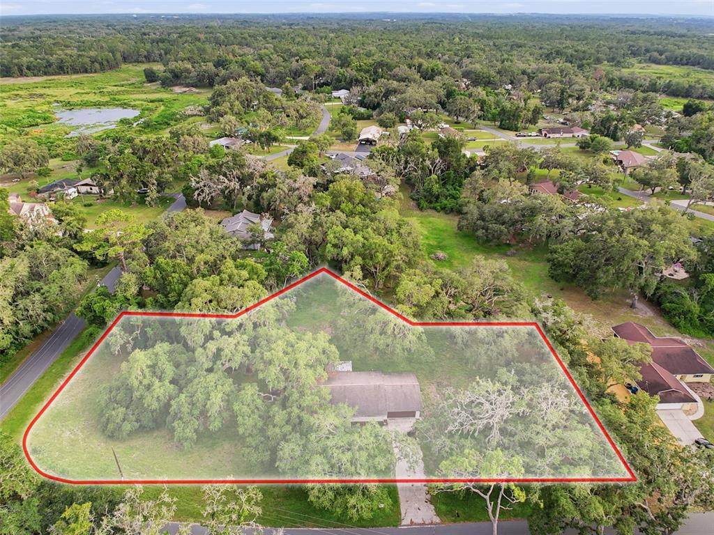 34696 Orchid Parkway - Photo 1
