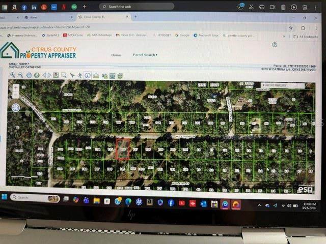 8376 & 8398 Catrina Lane - Photo 1