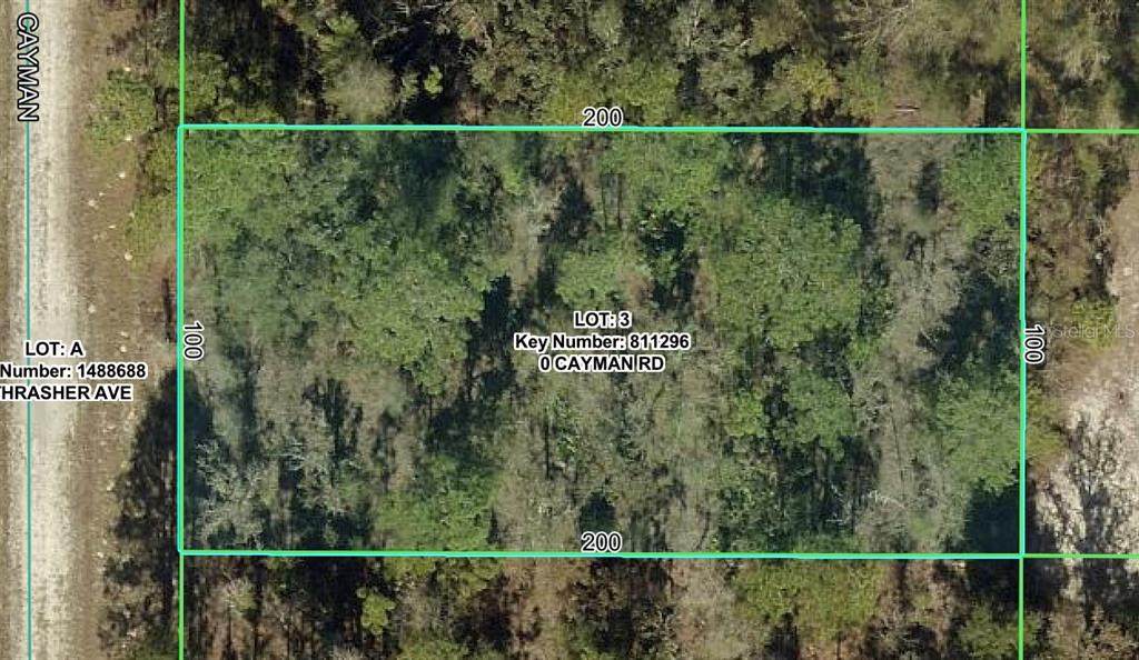 16464 Cayman Road - Photo 1