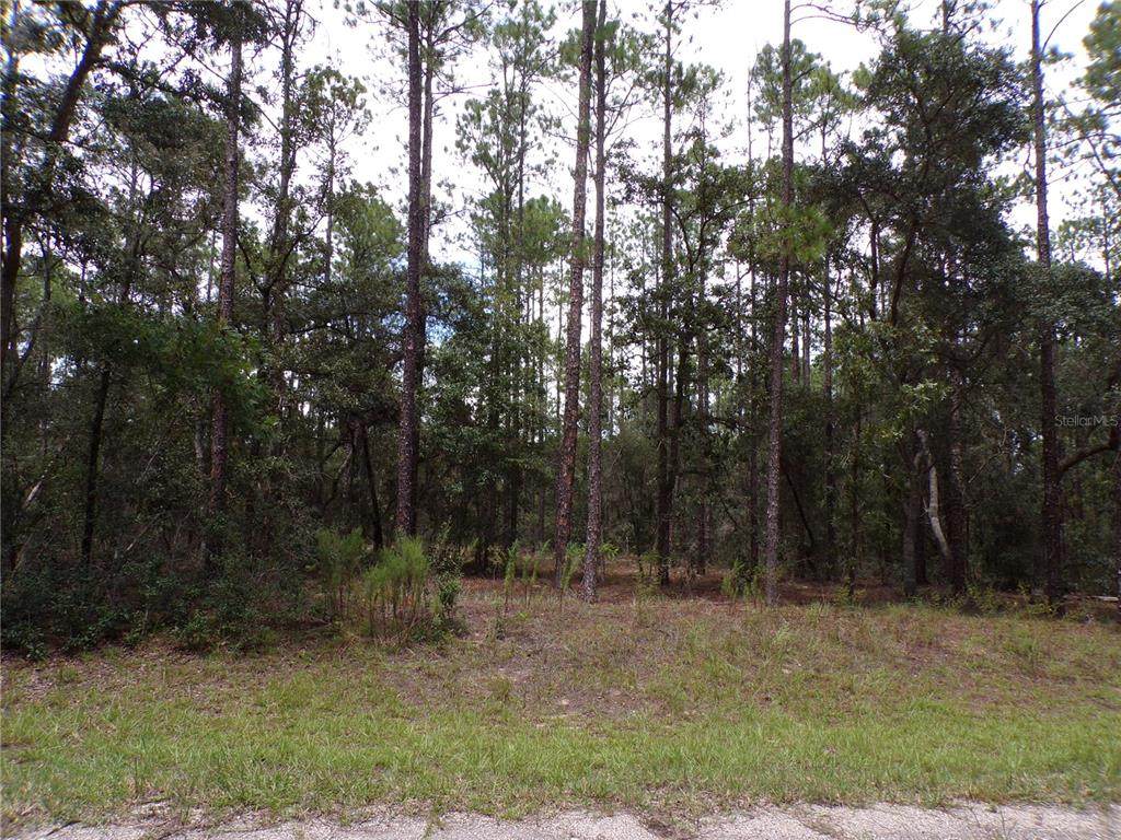 601 Marquette Lane - Photo 1