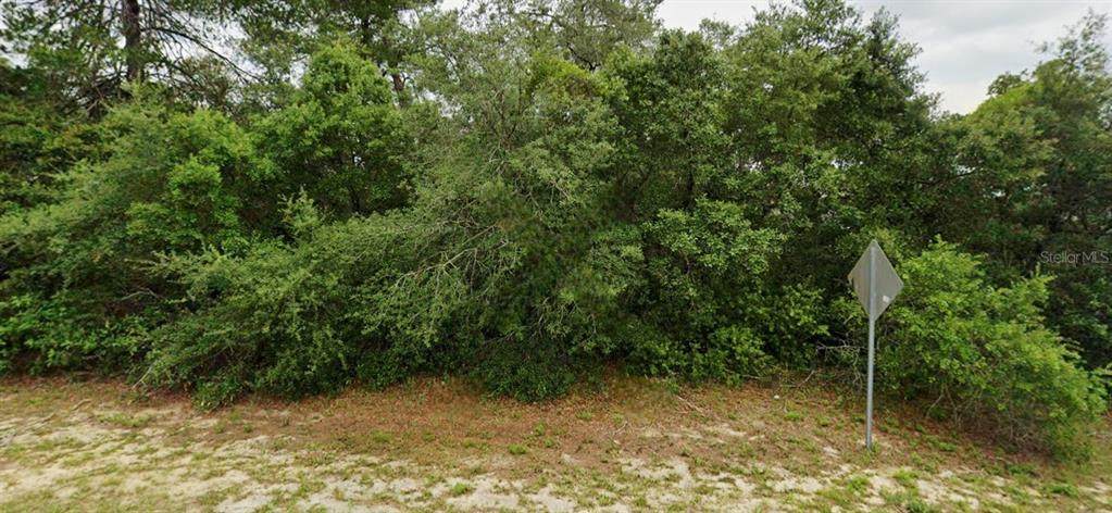 Lot 19 137TH Loop - Photo 1
