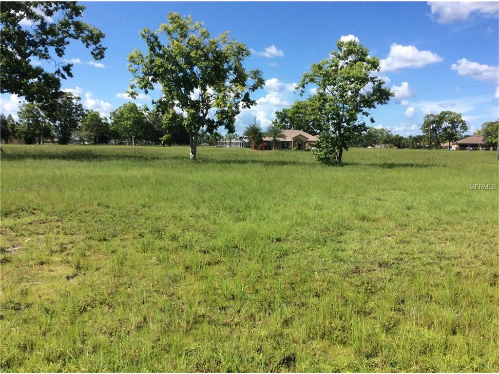 16442 Tonawanda Drive - Photo 1