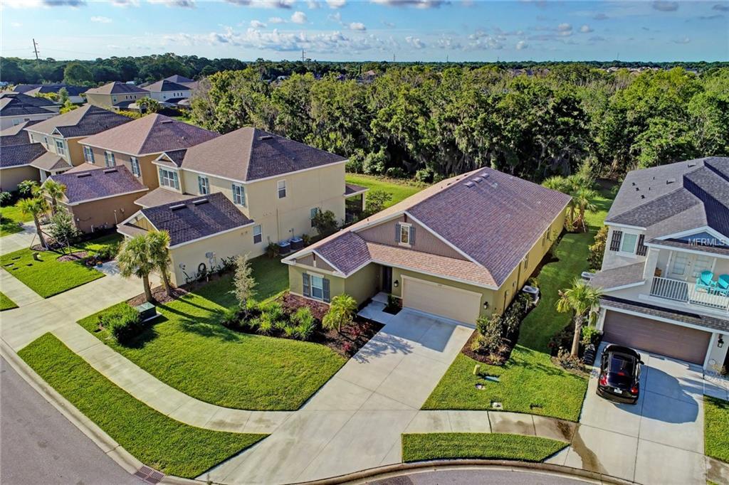 5737 Liatris Circle - Photo 1