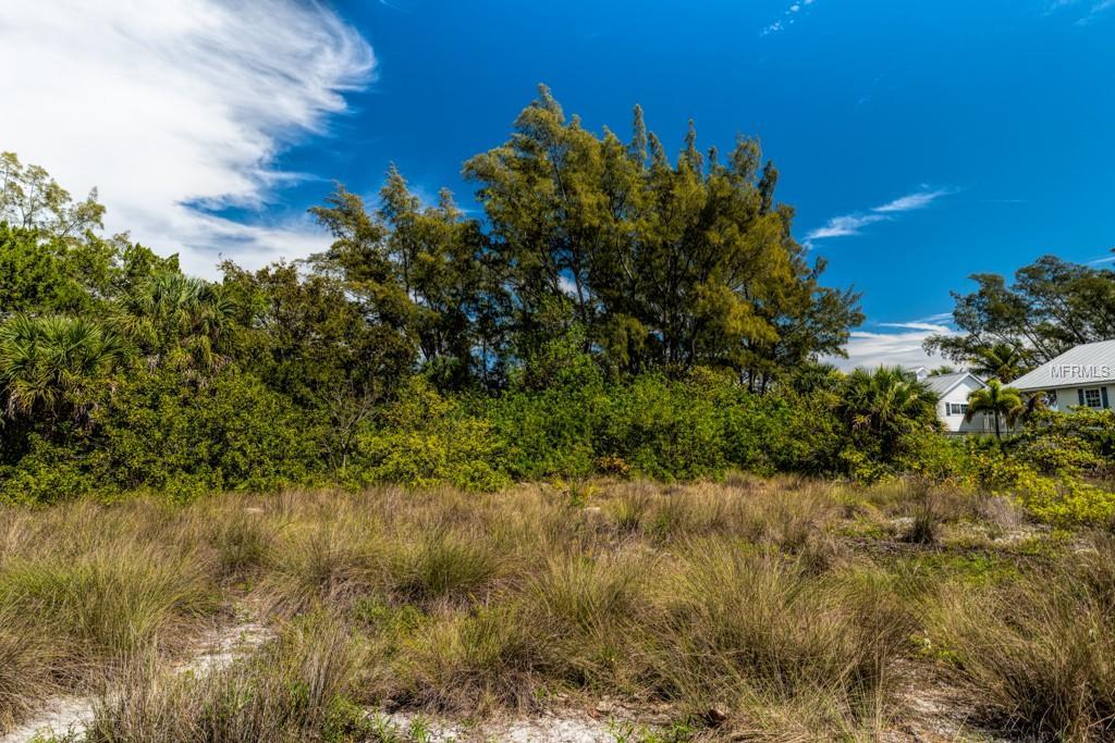 300 Bocilla Drive - Photo 1