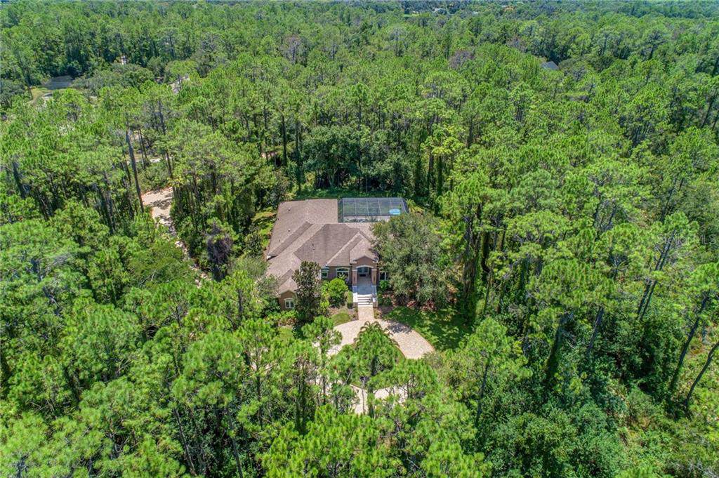 13799 Pine Woods Lane - Photo 1
