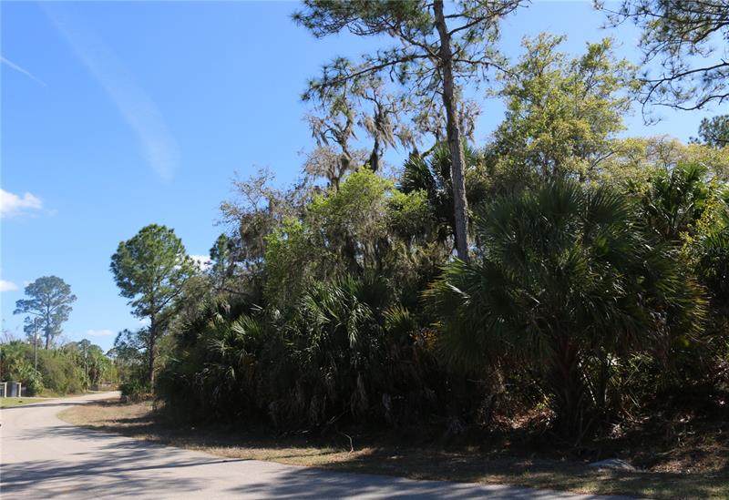 Golfair Lane - Photo 1